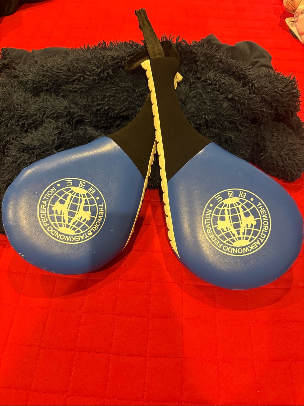 Blue Double Paddle Target Mitts by
